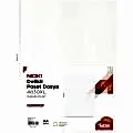 NOKİ 4830XL POŞET DOSYA  A4 100 ADET
